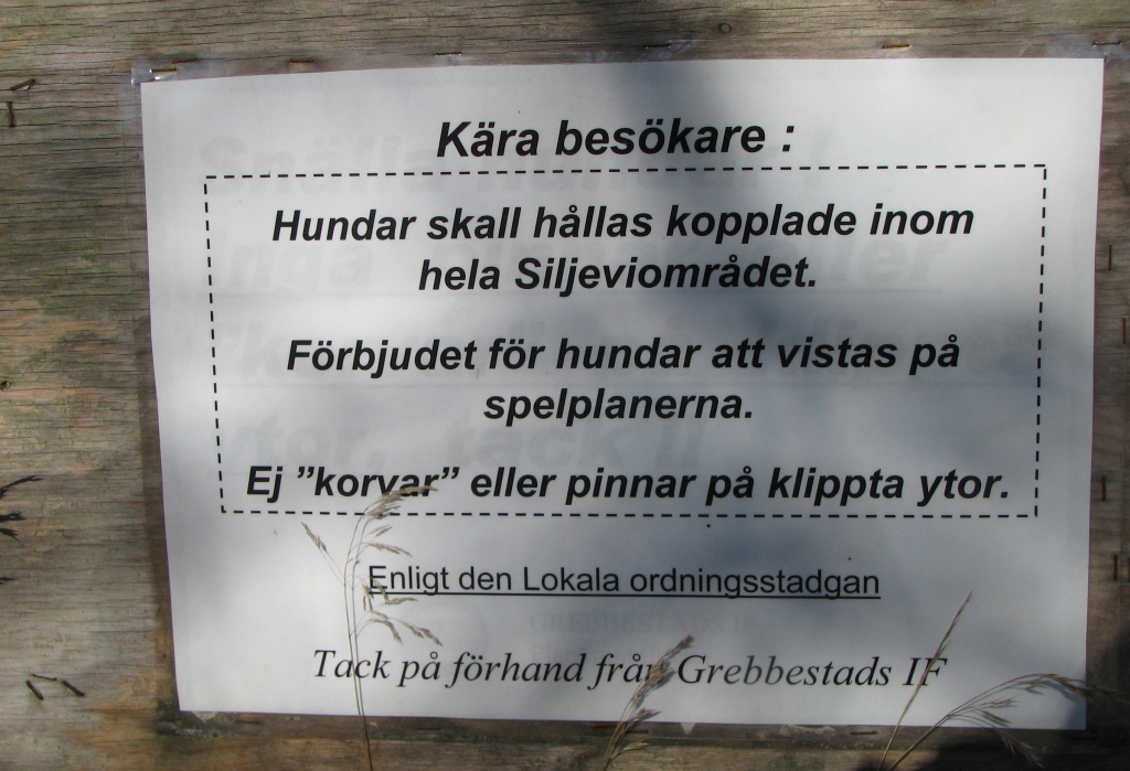 Siljevi