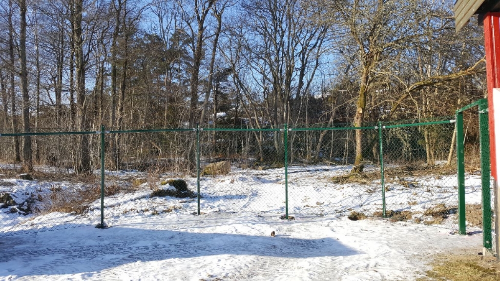 1 mars Staket vid läktaren