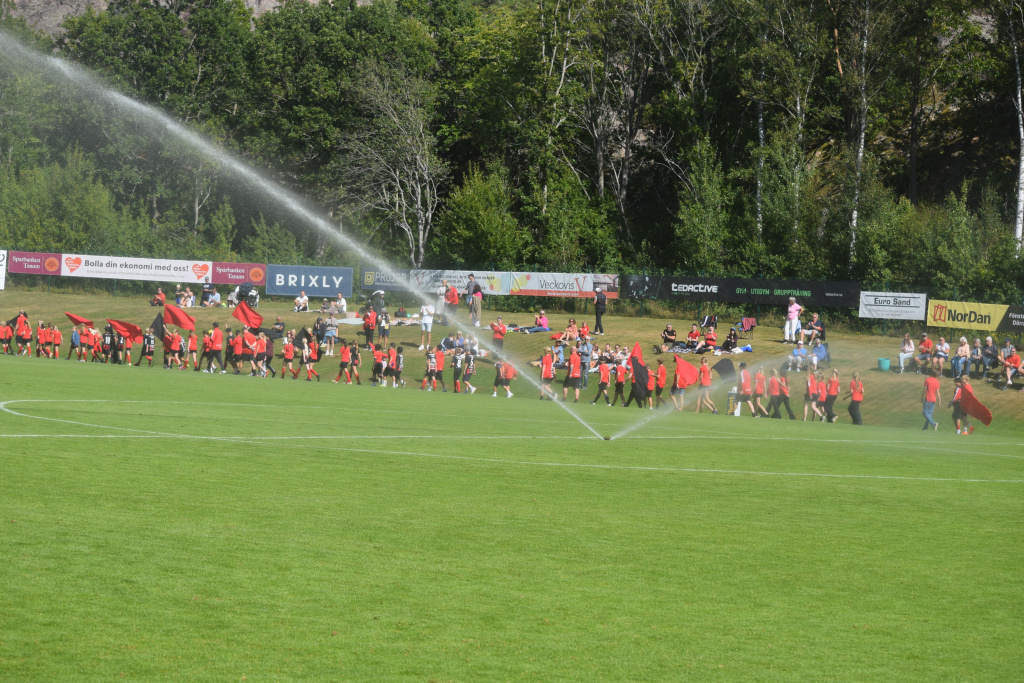 GIF-DAGEN